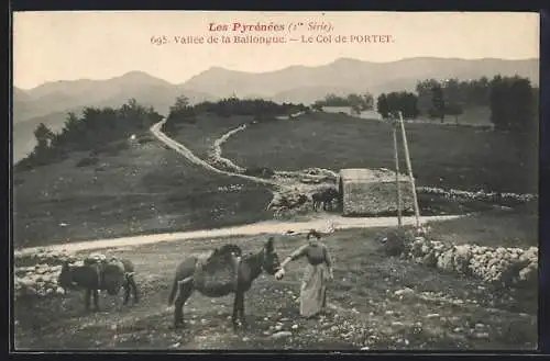 AK Le Col de Portet, Vallée de la Ballongue et paysage pastoral avec ânes et bergère