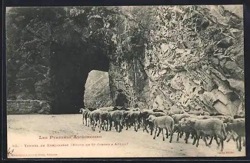 AK Kercabanac, Tunnel, Troupeau de moutons sur la route de St-Girons à Aulus