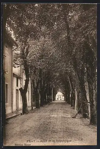 AK Prat, Allée de la République bordée d`arbres majestueux