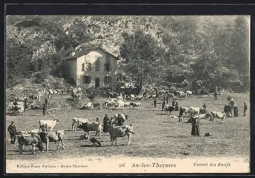 AK Ax-les-Thermes, Foiraïl des Boeufs