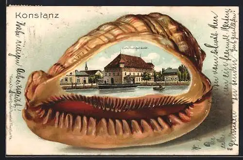 Passepartout-Lithographie Konstanz, Conciliumgebäude auf Muschel