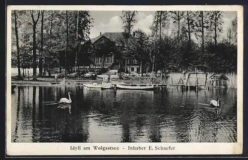 AK Corswandt bei Swinemünde, Café am Wolgastsee, Bes. E. Schaefer