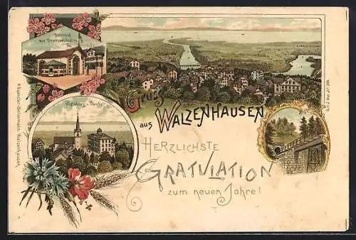 Lithographie Walzenhausen, Gesamtansicht, Rheinburg und Kirche, Bahnhof zur Drahtseilbahn