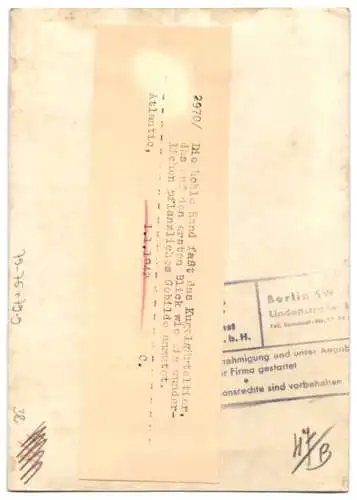 Fotografie Atlantic, Kugelgürteltier hat sich zusammengerollt 1942