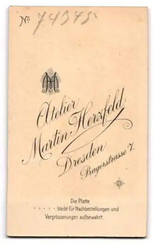 Fotografie Atelier Martin Herzfeld, Dresden, Pragerstrasse 7, Porträt eines eleganten Mannes