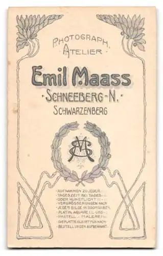 Fotografie Emil Maass, Schneeberg, Schwarzenberg, Frau in hochgeschlossener Bluse