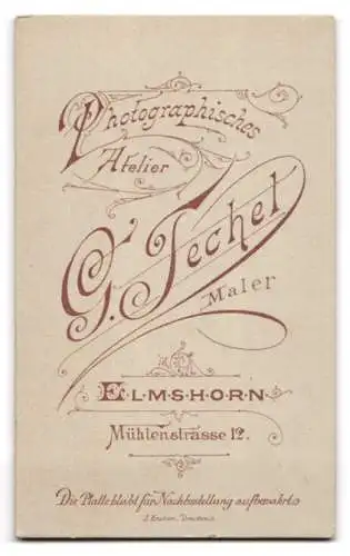 Fotografie G. Techel, Elmshorn, Mühlenstrasse 12, Porträt einer Dame