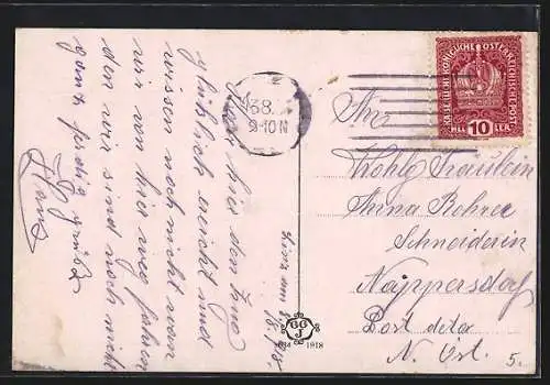 AK Linz a. d. Donau, Promenade aus der Vogelschau