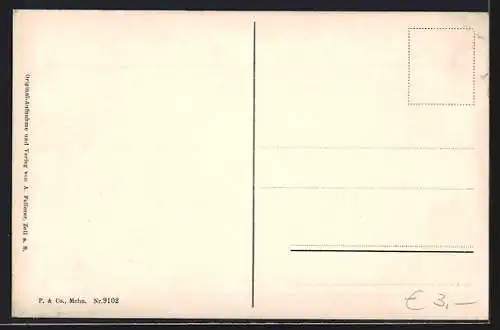 AK Zell am See, Blick gegen das Steinerne Meer