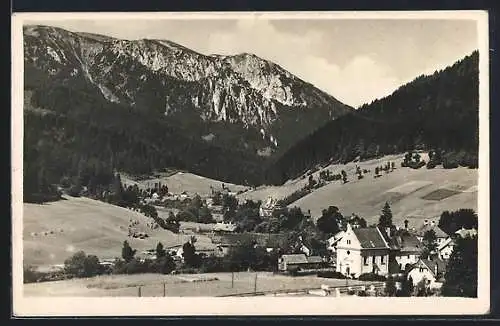 AK Mürzsteg a. d. Mürz, Ortsansicht mit Bergpanorama