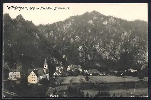 AK Wildalpen /Steiermark, Ortspartie mit Bergen