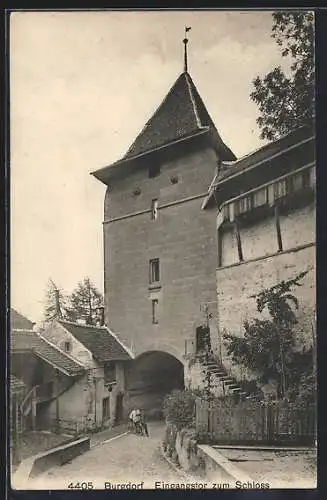 AK Burgdorf, Eingangstor zum Schloss