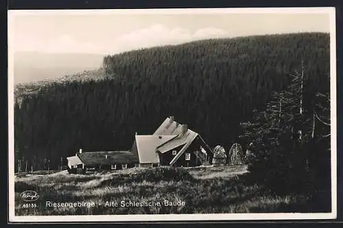 AK Alte Schlesische Baude im Riesengebirge, Ansicht mit dem Wald