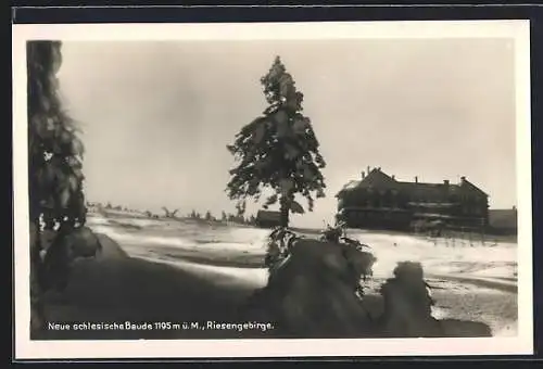 AK Neue schlesische Baude im Riesengebirge, Ansicht im Winter