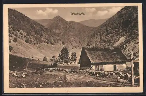 AK Berghütte im Wormsatal, Blick ins Tal