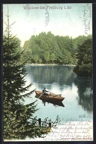 AK Freiburg / Breisgau, Blick auf Waldsee