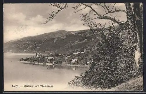 AK Merligen am Thunersee, Teilansicht mit Bäumen