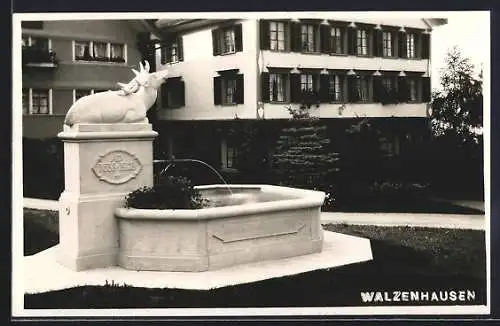 AK Walzenhausen, Ortspartie mit Brunnen