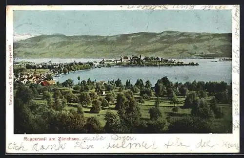 AK Rapperswil am Zürichsee, Teilansicht mit Bäumen