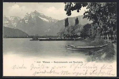 AK Weesen, Seepromenade und Rautispitz