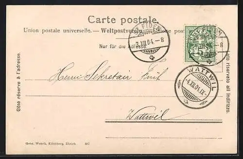 AK St. Gallen, Teilansicht von der Falkenburg gesehen