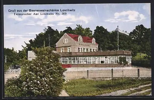 AK Dresden-Loschwitz, Blick auf die Beerenweinschänke