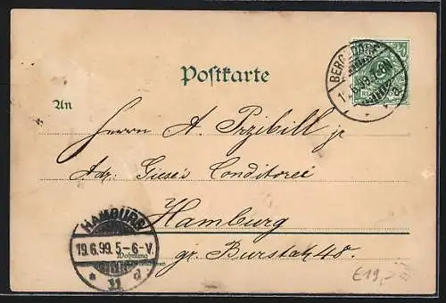 Lithographie Hamburg-Bergedorf, Bahnhof, Pension R. Sievers, Schloss
