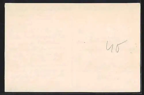 AK Cetinje / Cettigne, Totalansicht