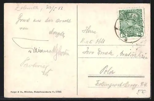 AK Kotor / Cattaro, Ortsansicht aus der Vogelschau