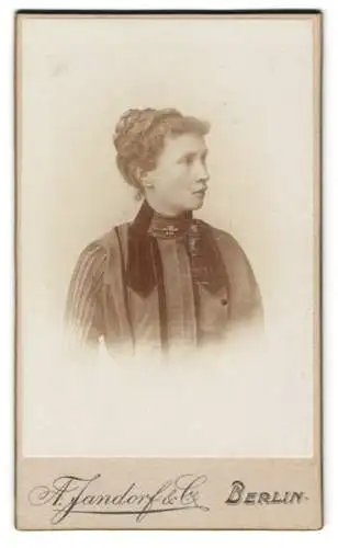 Fotografie F. Jandorf &amp Co., Berlin, C. Spittelmarkt 16 /17, Portrait einer Frau im Profil