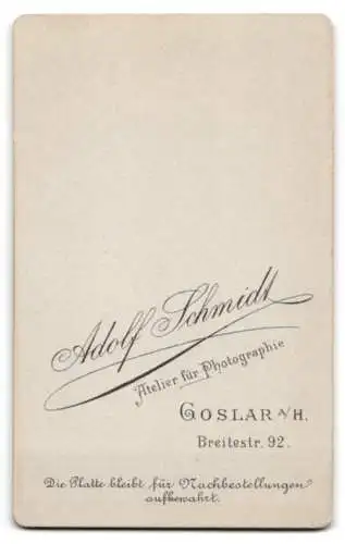 Fotografie Adolf Schmidt, Goslar, Breitestr. 92, Porträt einer Dame