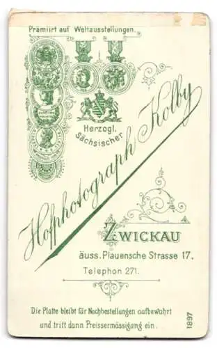 Fotografie Kolby, Zwickau, Äuss. Plauensche Strasse 17, Porträt einer Frau in elegantem Kleid