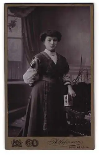 Fotografie Ph. Hofmann, Stollberg, Frau in elegantem Kleid