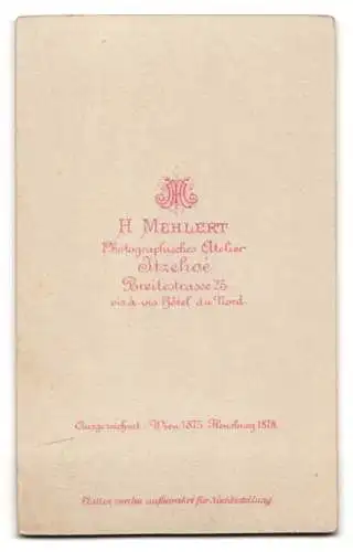 Fotografie H. Mehlert, Itzehoe, Breite Strasse 25, Porträt einer jungen Frau