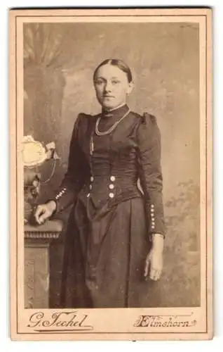 Fotografie G. Techel, Elmshorn, Mühlenstrasse 12, Porträt einer Frau in elegantem Kleid