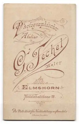 Fotografie G. Techel, Elmshorn, Mühlenstrasse 12, Porträt einer Frau in elegantem Kleid