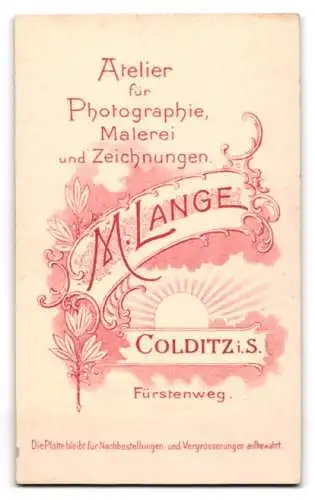 Fotografie M. Lange, Colditz, Fürstenweg, Porträt einer jungen Frau