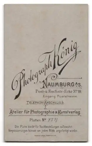 Fotografie Carl König, Naumburg, Post- und Fischstrasse Ecke 19, Porträt eines eleganten Herrn