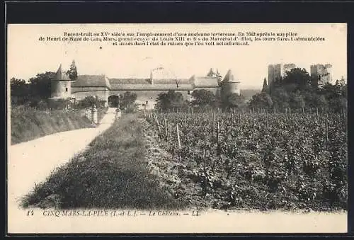 AK Cinq-Mars-la-Pile, Le Château et les vignes environnantes