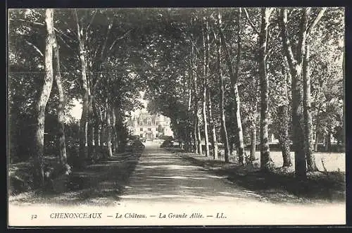 AK Chenonceaux, Le Château, La Grande Allée