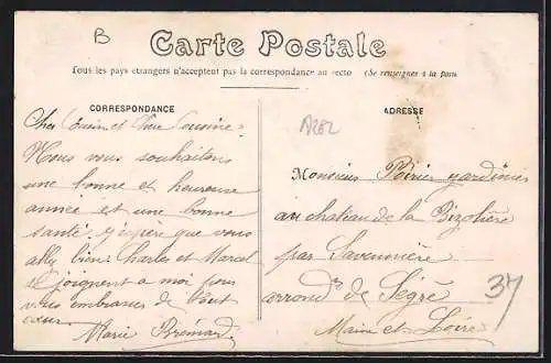 AK Château-la-Vallière, Château du Vivier-des-Landes, une vue du parc