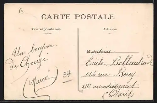 AK Chouzé-sur-Loire, Vue d`ensemble prise sur la Loire