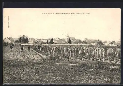 AK Channay, Vue panoramique des vignes et du village en arrière-plan