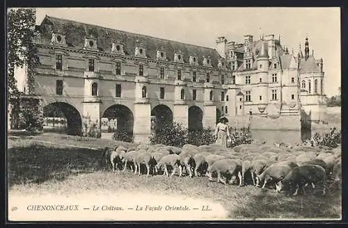 AK Chenonceaux, Le Château, La Facade Orientale et troupeau de moutons