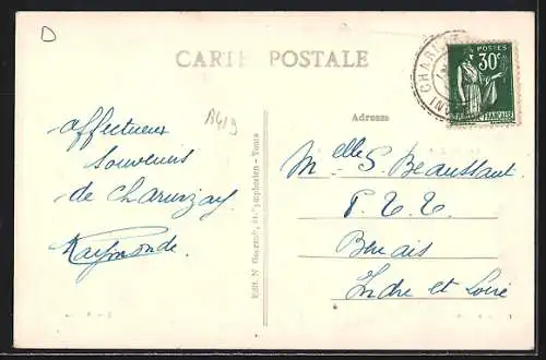 AK Charnizay, Vue générale