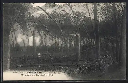 AK Noizay, Effets du Cyclone du 29 Août 1916