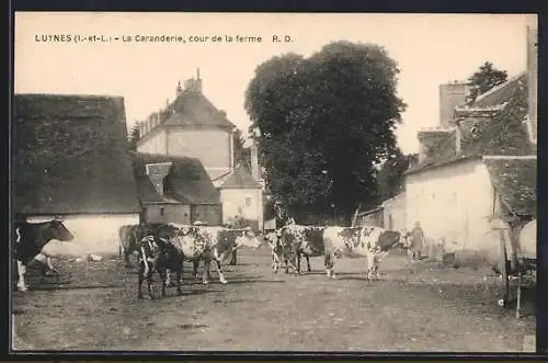 AK Luynes, La Caranderie, cour de la ferme