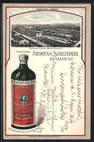 Lithographie Budapest, Reklame für Bitterwasser von Andreas Saxlehner, Hunyadi János, Blick auf die Fabrik