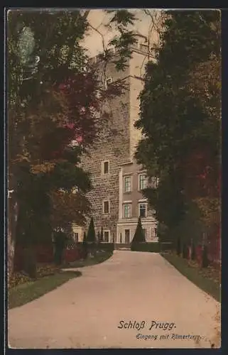 AK Bruck a. d. Leitha, Schloss Prugg, Eingang mit Römerturm