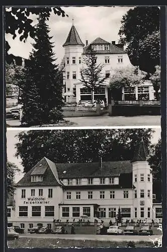 AK Iburg /T. W., Waldhotel Felsenkeller